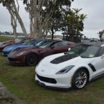 PlasticFantastic_028 (May 19, 2019)